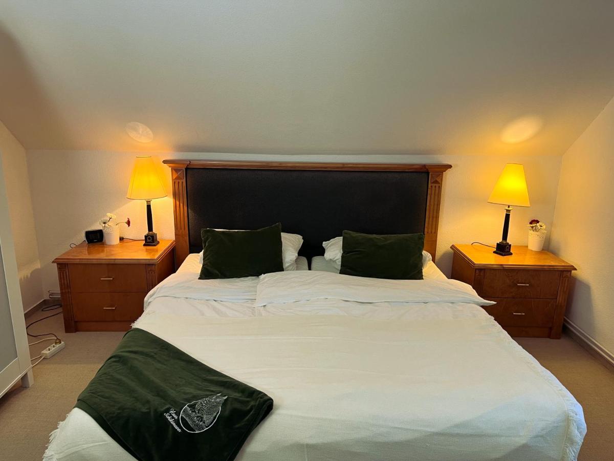 Eule - Zentrumsnahe Maisonette Apartment Braunlage